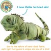 Igor The Iguana - 27 Inch Stuffed Animal Plush - 3 of 4