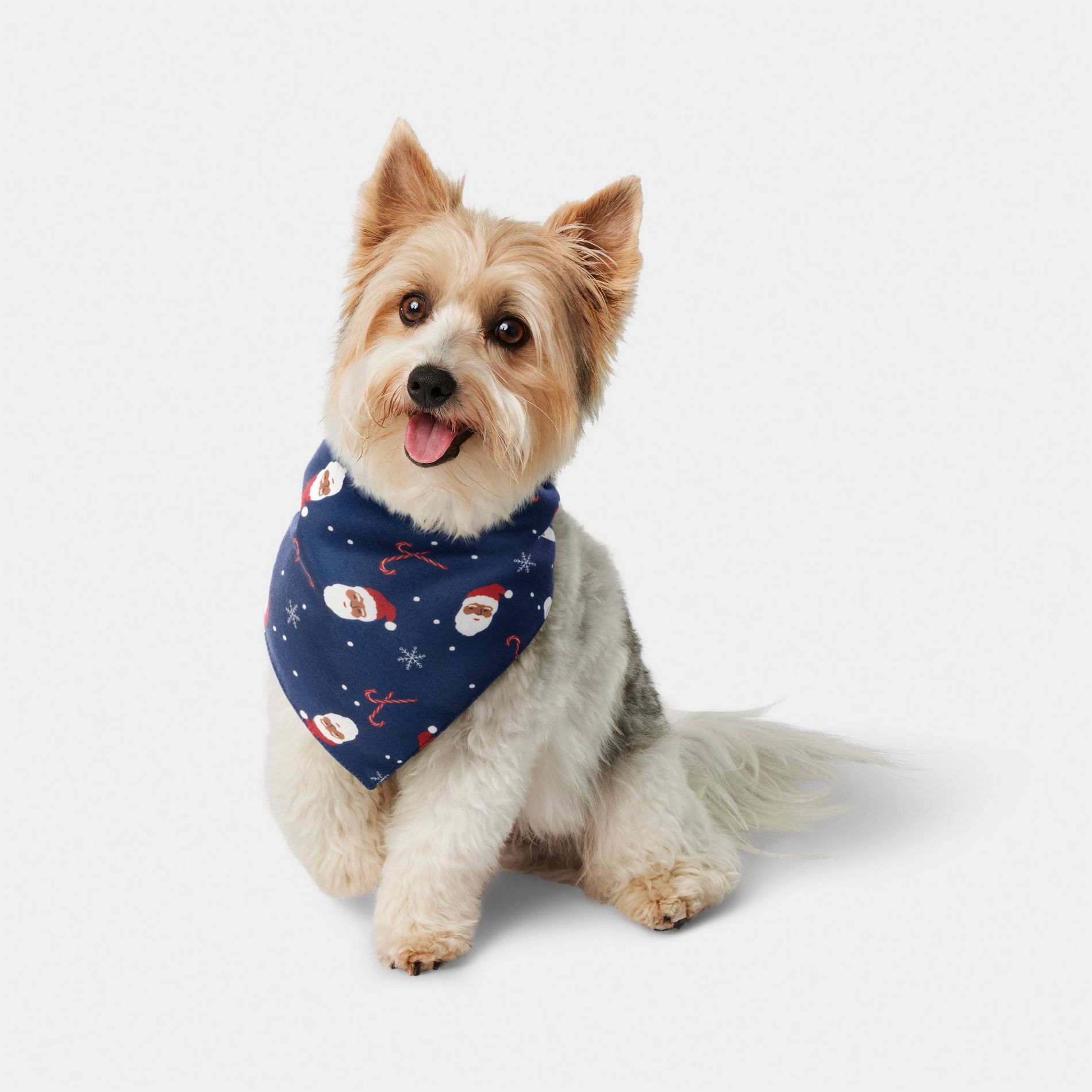 Santa Dog Bandana - Wondershop™ One Size Fits Most