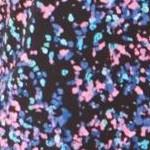 black confetti