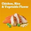 Pedigree Chicken, Rice and Vegetable Flavor Puppy Dry Dog Food - 4 of 4