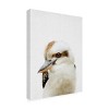 Canvas Wall Art - Lola Peacock  'Peekaboo Kookaburra' Wall Art for Living Room, Bedroom, or Office Décor by Trademark Fine Art - 2 of 4