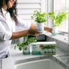 Back to the Roots 3pk Organic Kitchen Herb Garden Seed Kits: Mint, Grow Can, Full Sun Required - image 2 of 4