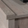 Cottage Road TV Stand for TVs up to 65" with Doors - Sauder - 3 of 4