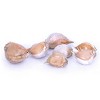 Van Zyverden 3ct Cloves Elephant Garlic - 4 of 4