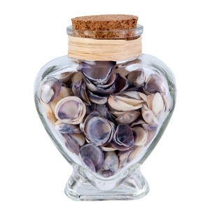 Beachcombers Md. Heart Bottle with Shells - 1 of 2