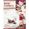 Courtside Market Santas Sleigh 12.8 oz Winter Cranberry Soy Wax Candle Glass Jar with Brushed Silver Metal Lid - 3 of 3