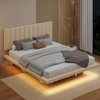 Queen Size Floating Bed with LED Light and USB Port, Velvet Upholstered Hydrualic Platform Bed 4L-ModernLuxe - image 3 of 4