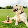 Natural Dog Company Pawtection Stick - 2oz - image 3 of 3