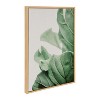 Kate and Laurel Sylvie Plant Study 7 Framed Canvas by Alicia Abla, 23x33, Natural - 2 of 4