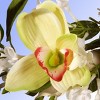 National Tree Company 28" Spring Flowers Swag - 4 of 4