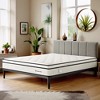 Luck Live 10in King Euro Top hybrid gel foam mattress with 7-zone individually wrapped coils, medium firmness oversized mattress for pressure relief - 3 of 4