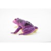 Collectible Wildlife Gifts | Frog, Purple Toad, Rubber Toy, Realistic, Rainforest Amphibian, Model,   Educational, Gift,     3"     F6090 B3 - 4 of 4