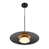 Artcraft Lighting Camila 1 - Light Pendant in  Black - 2 of 4