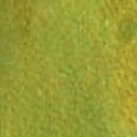 song birds green