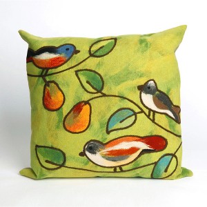 Liora Manne Visions III Garden Indoor/Outdoor Pillow.. - 1 of 4