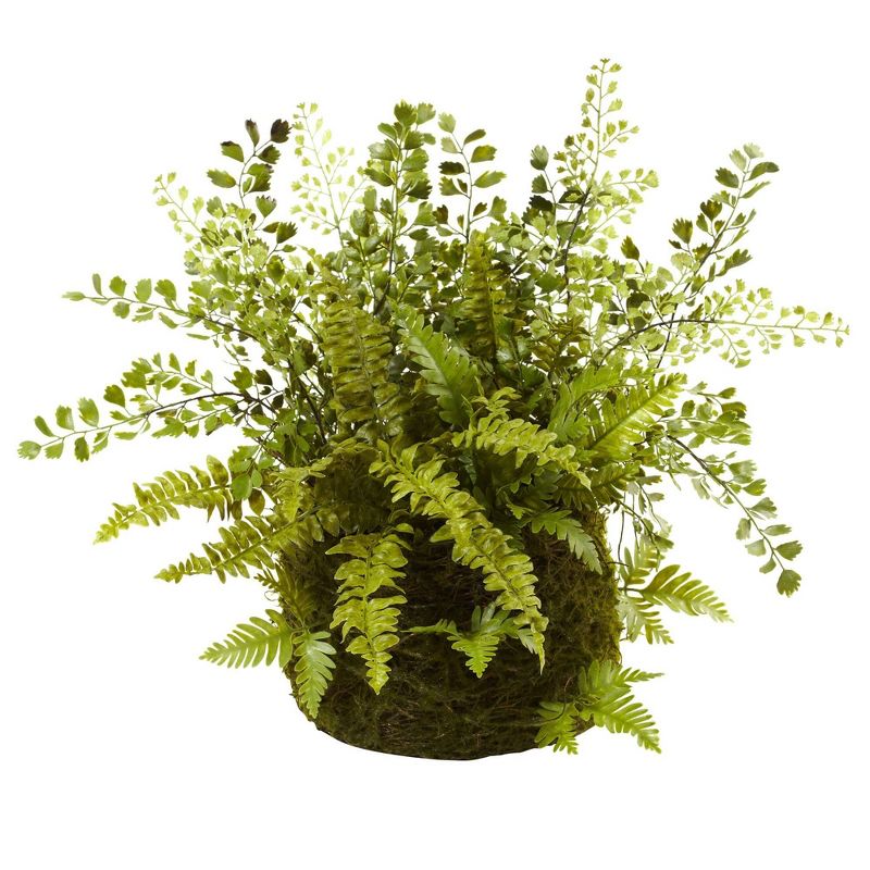 13&#34; x 17&#34; Artificial Fern Plant with Twig and Moss Basket- Nearly Natural, 1 of 5