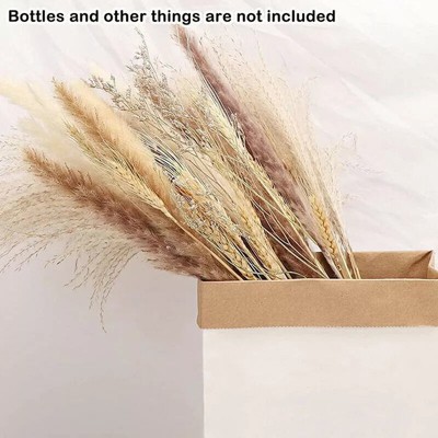 Kitcheniva Pampas Grass Natural Dried Reed Flower Bunch 60 Pcs