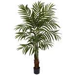 60" Artificial Big Palm Tree in Pot Black - Nearly Natural