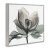 Stupell Industries White Magnolia Flower Green Silhouette Framed Giclee Art, Gray, 20" x 16" - 2 of 4