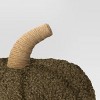 Teddy Boucle Shaped Pumpkin - Threshold™ - 3 of 3