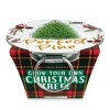 Collections Etc Grow Your Own Christmas Tree Plant Kit with Metal Pot - 2 of 2