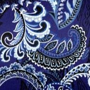 navy paisley