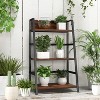3-Tier Ladder Industrial Bookshelf with Metal Frame - 4 of 4