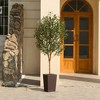 DR.Planzen 72" Artificial Olive Tree with Real Wood Branches - 6FT UV Resistant Indoor/Outdoor Fake Plant in 15.7" Planter (B/W/Coffee) - 2 of 4