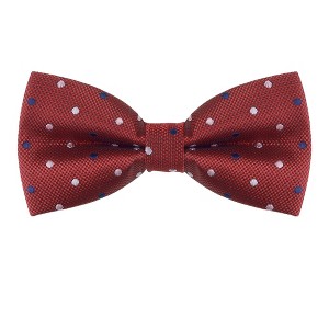 Allegra K Men's Pre-Tied Adjustable Polka Dots Tuxedo Work Party Prom Bow Ties - 1 of 4
