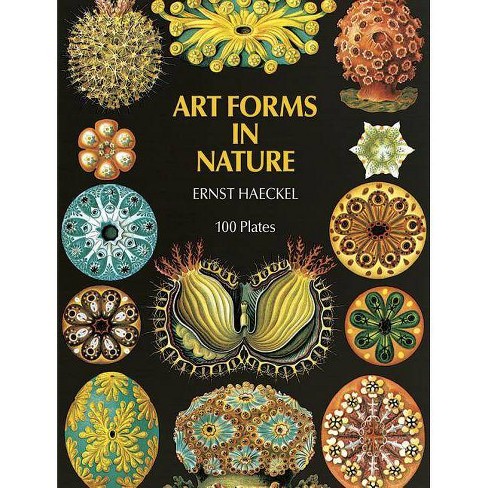 Art Forms In Nature Dover Pictorial Archive By Ernst Haeckel Paperback Target