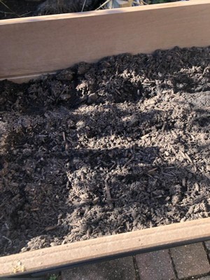 Guest review image 2 of 5, zoom in