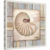 Amanti Art Beach Shell III by Elizabeth Medley Framed Canvas Wall Art - 3 of 4