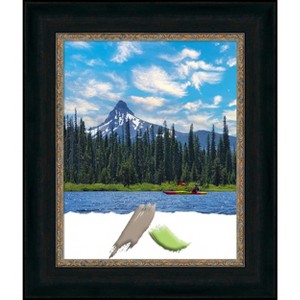 Amanti Art Paragon Bronze Picture Frame - 1 of 4