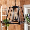 Rydler 13" Outdoor Pendant - PLT7028 - Black - Safavieh - 3 of 4