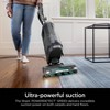 Shark PowerDetect Upright Vacuum with DuoClean Detect Technology and Self-Cleaning Brushroll Purple - AZ3901: HEPA Filter, Multi-Surface, Pet Hair - 2 of 4