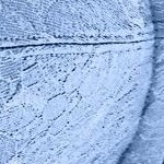 french blue lace