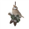 Snowy Cardinal Bird and Owl Ornament (Set of 12) - 4 of 4