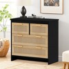 4-Drawers Rattan Storage Cabinet Rattan Drawer, CENGHU Nightstand, Coffee Bar Cabinet, for Bedroom, Living Room, Dining Room, Hallways - 2 of 4