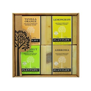 Plantlife Fruit Set 4-Pack (Vanilla Orange, Lemongrass, Coconut Lime, Ambrosia) Bar Soap – Moisturizing, Handcrafted, Plant-Based – 4oz Bars - 1 of 2