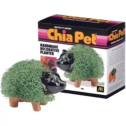 Joseph Enterprises, Inc Chia Pet Grass Planter: Pig
