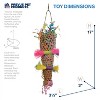 Prevue Pet Products Forage & Engage Tropical Teasers Confetti Kazoo Bird Toy 62513 - 3 of 3