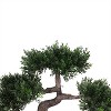 Northlight 10" Unlit Artificial Potted Japanese Bonsai Tree - 2 of 4