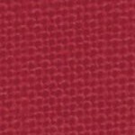 washington state cougars