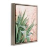 Stupell Industries Green Succulent Plant Leaves Floating Frame Canvas Art - 2 of 4