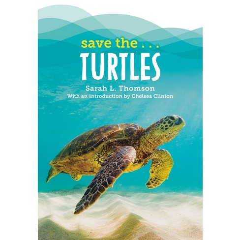 We the Sea Turtles - by Michelle Kadarusman (Hardcover)