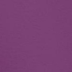 plum purple