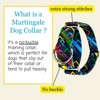 Country Brook Petz HossFit Jr Wide Martingale Dog Collar - Abstract Collection - 2 of 4