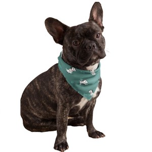 Mechaly Cotton Funny Dog Bandana with Designs Durable Birthday Pet Scarf - 1 of 4