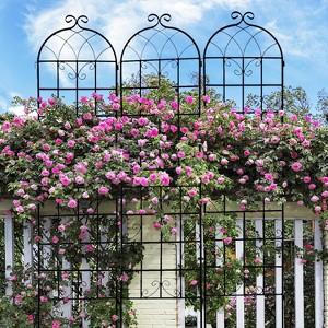 Metal Garden Trellis for Climbing Plants,Metal Garden Trellis,Easy Assembly with Ground Stakes, Versatile Support for Roses,Ivy & Vegetables - 1 of 4