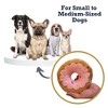 American Pet Supplies Donut Plush Dog Toy – Ideal for Fetching, Tug-of-War, Gentle Chewing – Strawberry - 4 of 4
